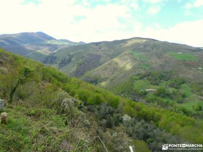Parque Natural de Nansa y el Alto Besaya;blog camisetas acueducto de segovia zuheros hayedo guadalaj